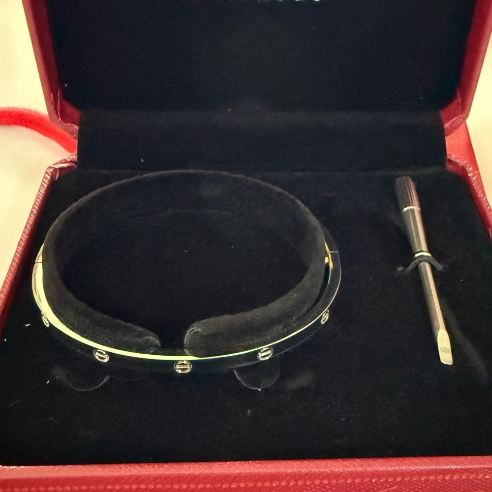 Luxury Bracelet—Stainless Steel Bracelet w/Silver Accents - Brand New, box & bag